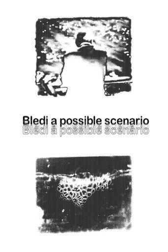 Bledi a possible scenario (2004) poster