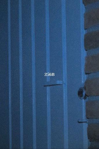 256B (2024) poster