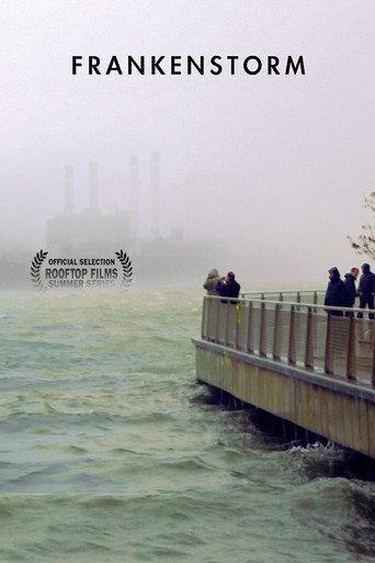 FRANKENSTORM: From Across the East River () poster