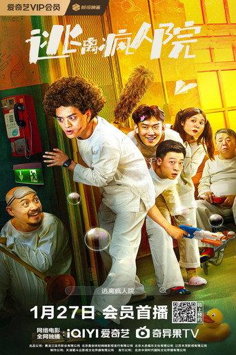 Escaping The Madhouse (2024) poster