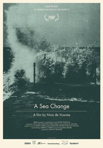 A Sea Change (2016) poster