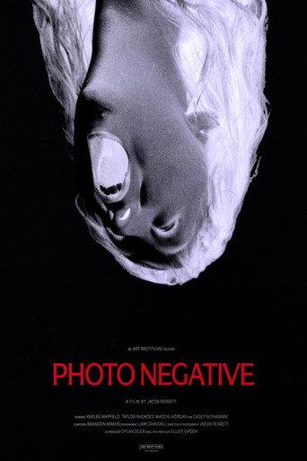 Photo Negative () poster