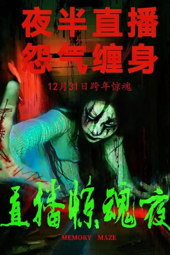 Memory Maze (2024) poster