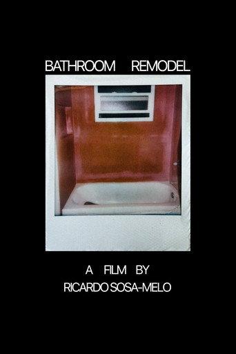 Bathroom Remodel (2026) poster