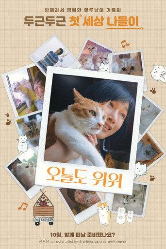 The Journey of the 12 Cats (2019) poster