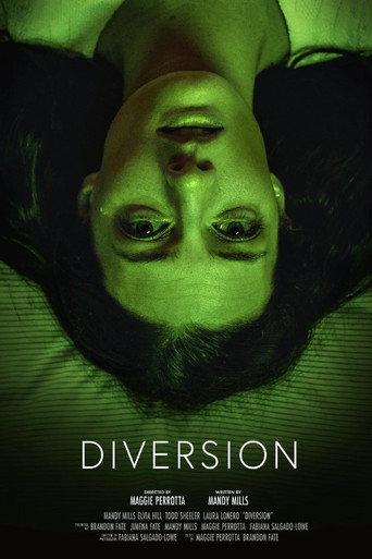 Diversion () poster