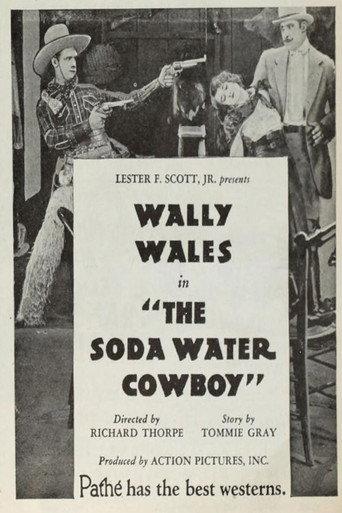 The Soda Water Cowboy (1927) poster