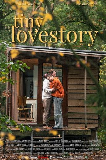 Tiny Lovestory () poster