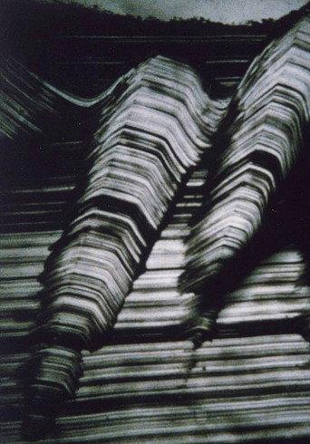 Nocturne in C minor, Op. 48, No. 1 (1996) poster