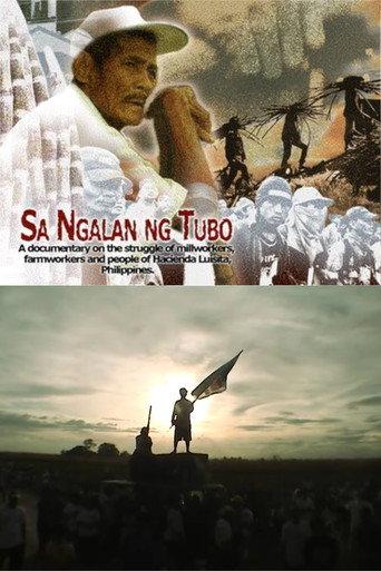 In the Name of the Sugarcane (2005) poster
