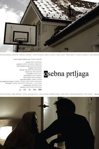 Personal Baggage (2009) poster