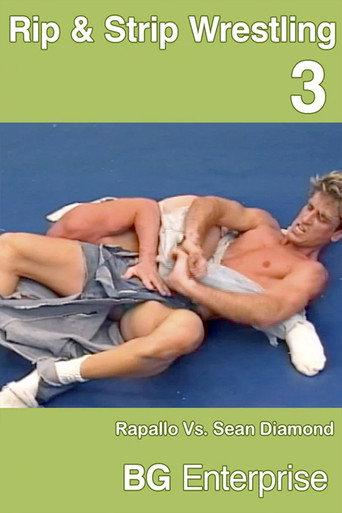 BG's Rip & Strip Wrestling 3 (1996) poster