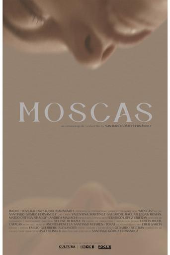 Moscas () poster