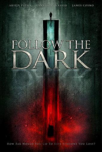 Follow the Dark () poster