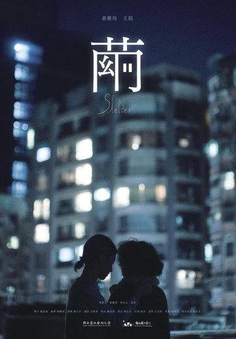 Shelter (2024) poster