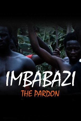 The Pardon (2013) poster
