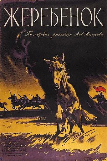 The Colt (1960) poster