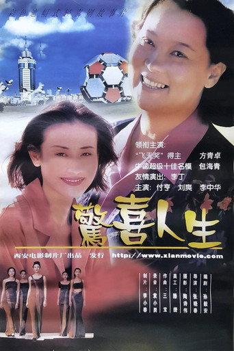 惊喜人生 (1999) poster