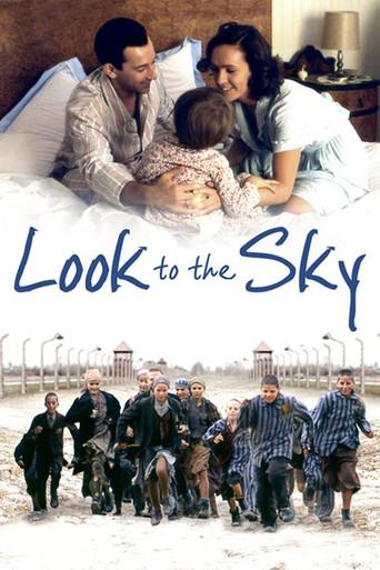 Look to the Sky (1993) poster
