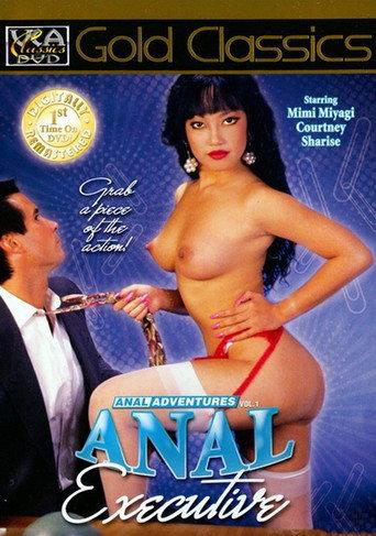 Anal Adventures 1: Anal Executive (1992) poster