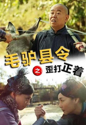 Donkey Magistrate: A Crooked Hit (2014) poster