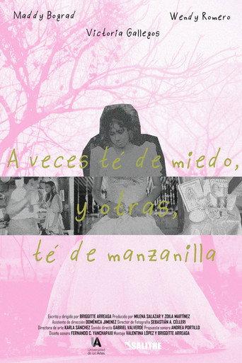 A veces té de miedo, y otras, té de manzanilla (2024) poster