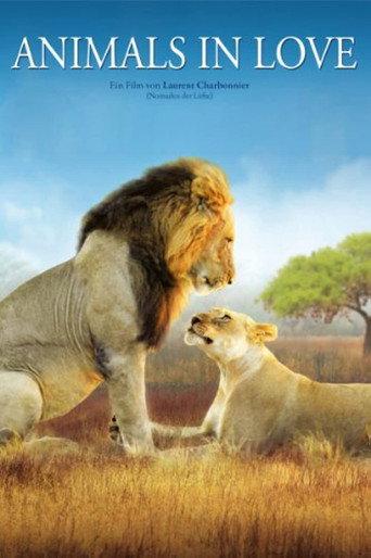 Animals in Love (2007) poster