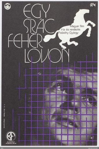 A Lad on White Horse (1973) poster