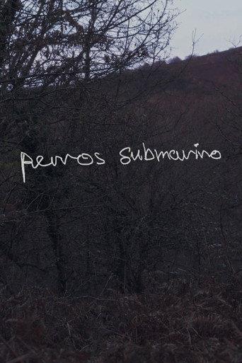 Perros submarino (2024) poster