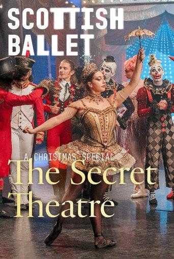 The Secret Theatre () poster