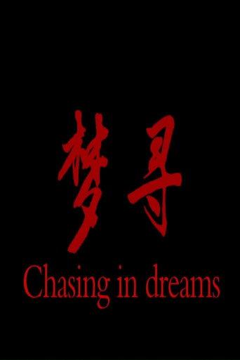 梦寻 (2013) poster