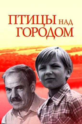 Birds Over the City (1974) poster