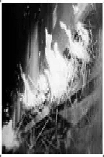 Fire (1953) poster