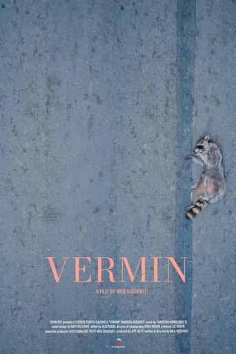 VERMIN () poster