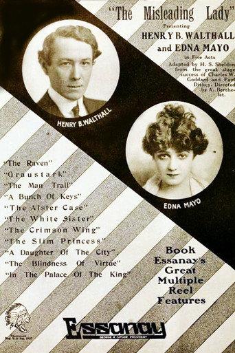 The Misleading Lady (1916) poster