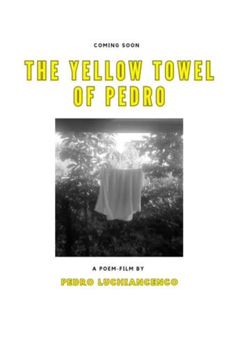 The Yellow Towel of Pedro (2020) poster