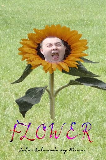 Flower () poster