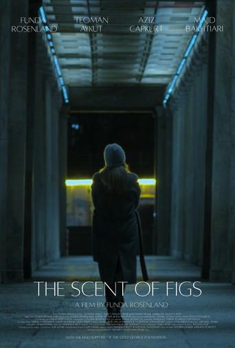 The Scent of Figs () poster