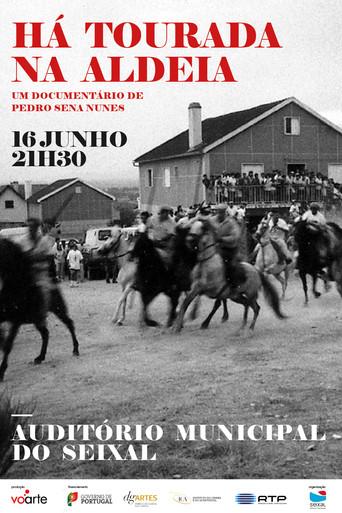 Há Tourada na Aldeia (2010) poster