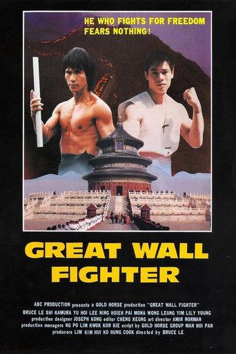 Fire on the Great Wall (1987) poster