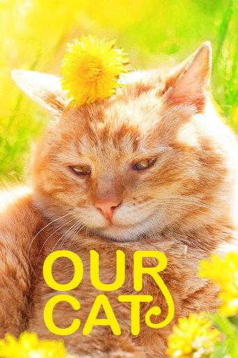 Our Cat (2020) poster