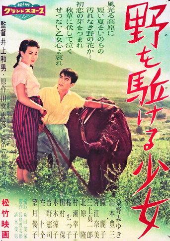 Farewell to Summer (1958) poster