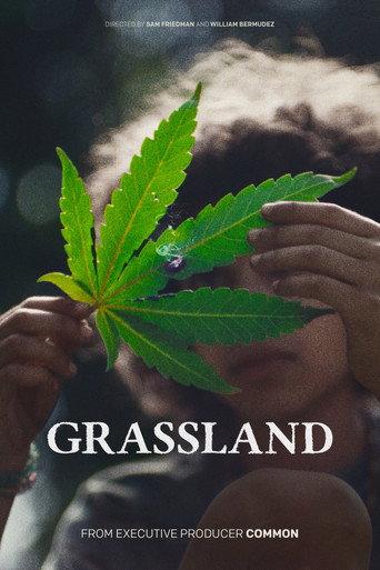 Grassland (2025) poster
