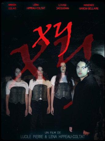 XY () poster
