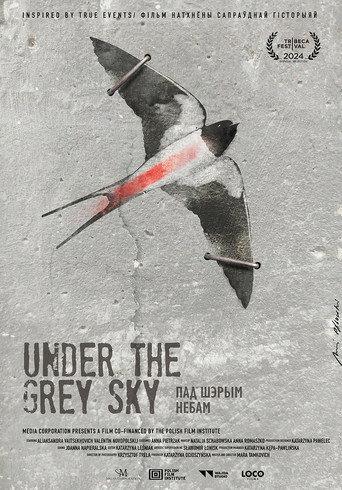 Under the Grey Sky (2025) poster
