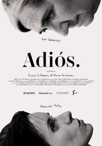 Adiós (2024) poster