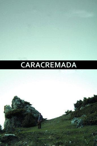 Burnface (2010) poster
