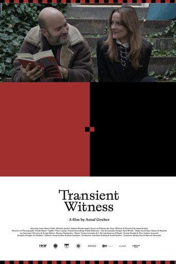 Transient Witness (2026) poster