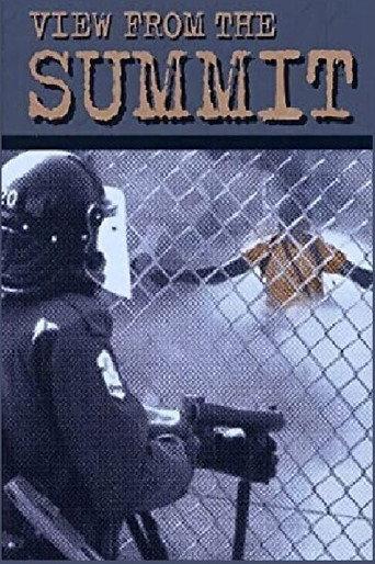 View from the Summit (2002) poster