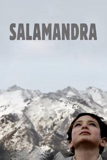 Salamander (2008) poster